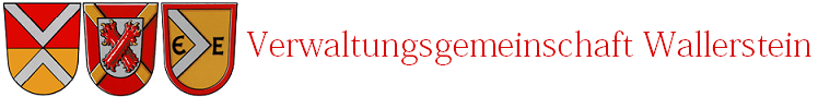 Logogruppe trans60 Text
